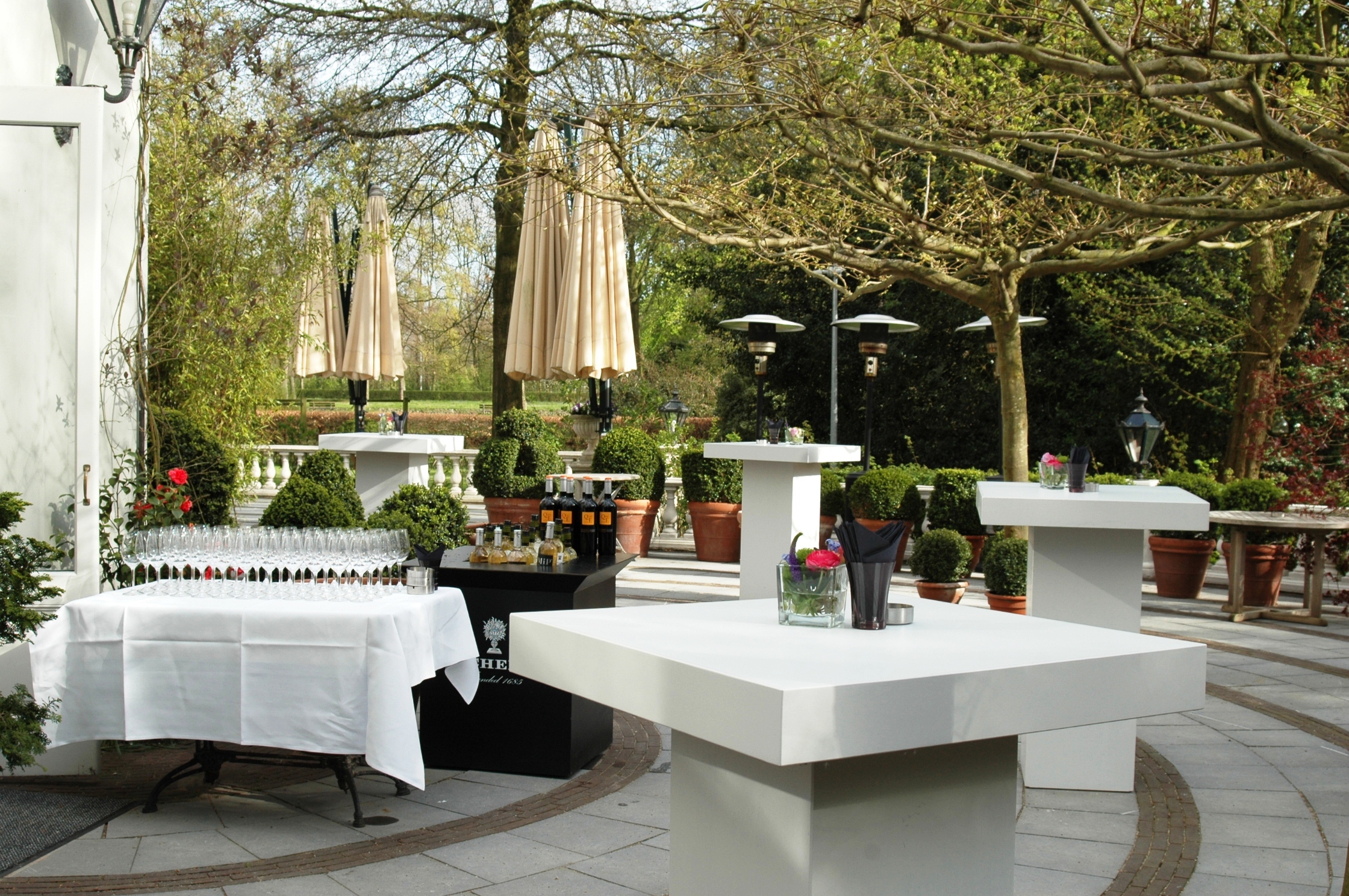 DSC_5395 ????????????????????????????????????