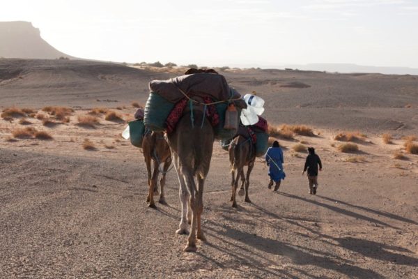 Beyond Qafila Thania Travel scholar, 2017 Heidi Vogels, artist and filmmaker