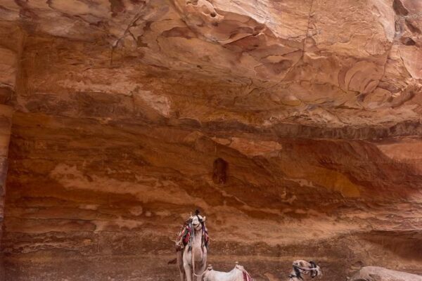 5cab38c6-7951-4ca8-b2d3-0d9ad07f4f5a 5cab38c6-7951-4ca8-b2d3-0d9ad07f4f5a